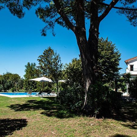 Terre Etrusche Guest House-Terme -3 Minuti Da Viterbo Centro Dış mekan fotoğraf