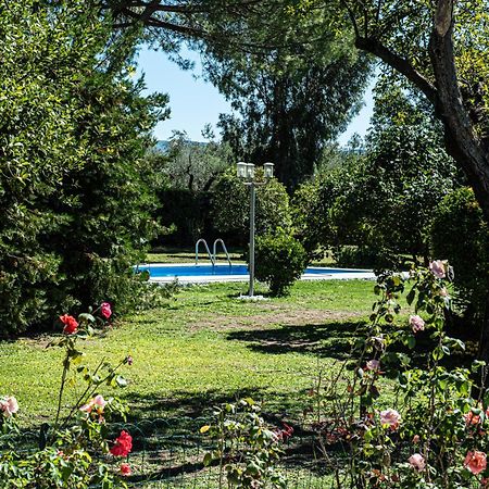 Terre Etrusche Guest House-Terme -3 Minuti Da Viterbo Centro Dış mekan fotoğraf