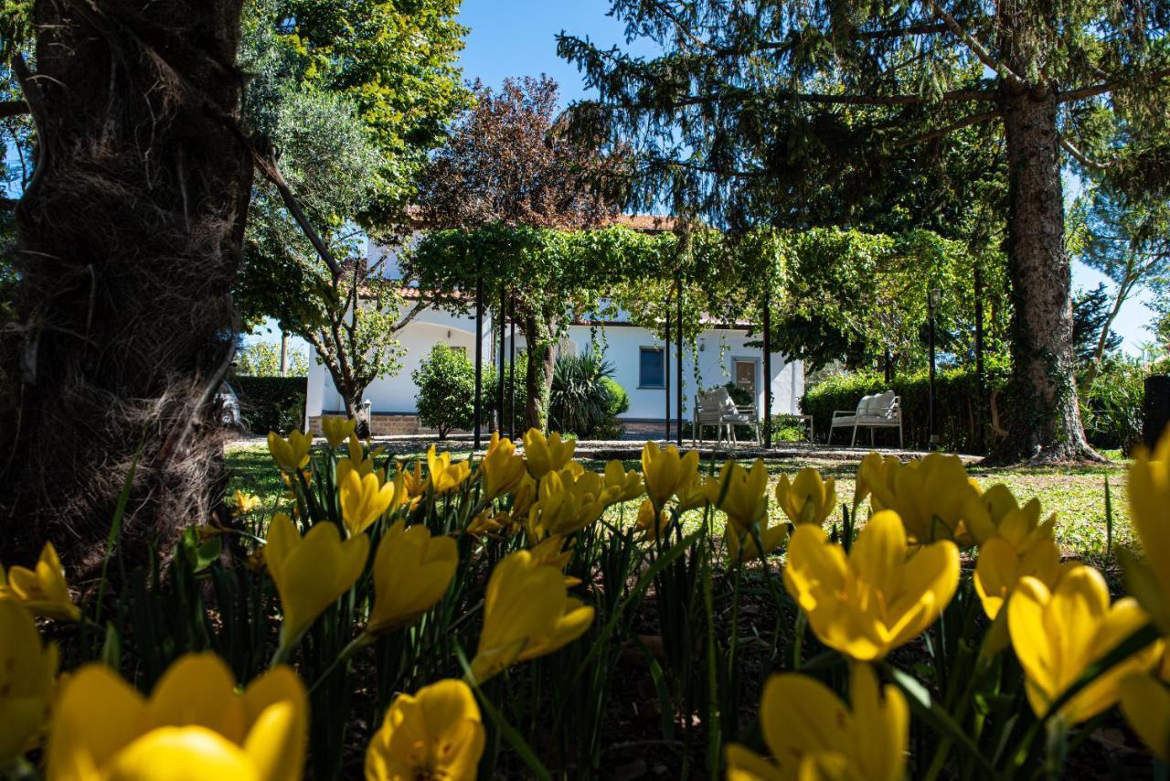 Terre Etrusche Guest House-Terme -3 Minuti Da Viterbo Centro Dış mekan fotoğraf