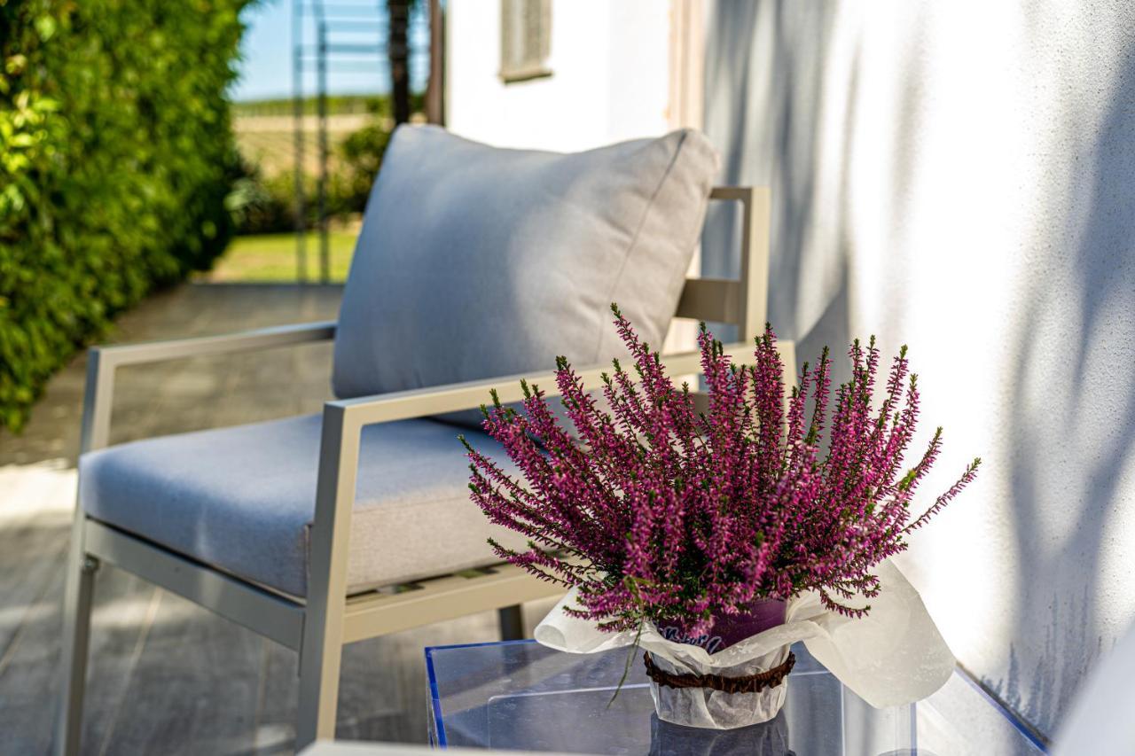 Terre Etrusche Guest House-Terme -3 Minuti Da Viterbo Centro Dış mekan fotoğraf
